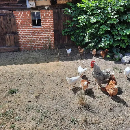 Charmante In Der Oase Am Vilzsee