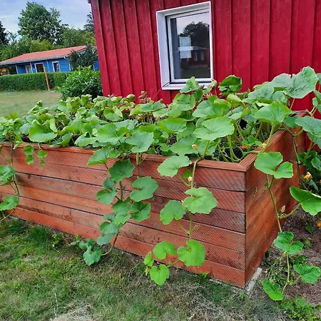 Charmante In Der Oase Am Vilzsee *