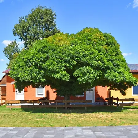 Charmante In Der Oase Am Vilzsee Apartman *