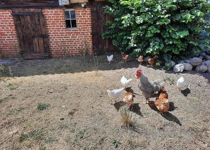 Charmante In Der Oase Am Vilzsee