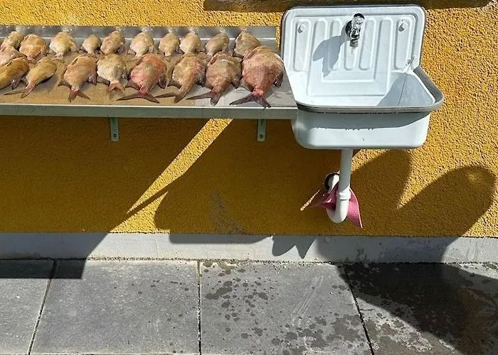 Charmante In Der Oase Am Vilzsee Apartamento