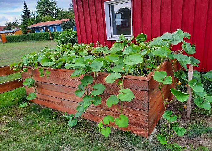 Charmante In Der Oase Am Vilzsee *