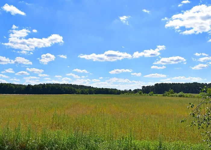 Charmante In Der Oase Am Vilzsee Apartamento *